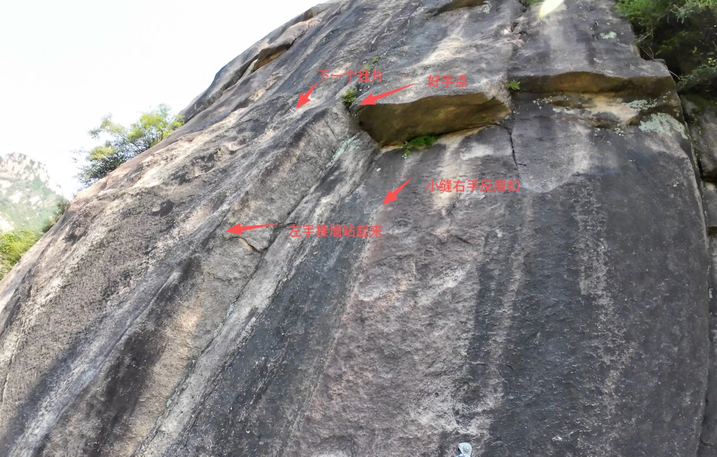 image.png /posts/waigua-liezao/image-11.jpg