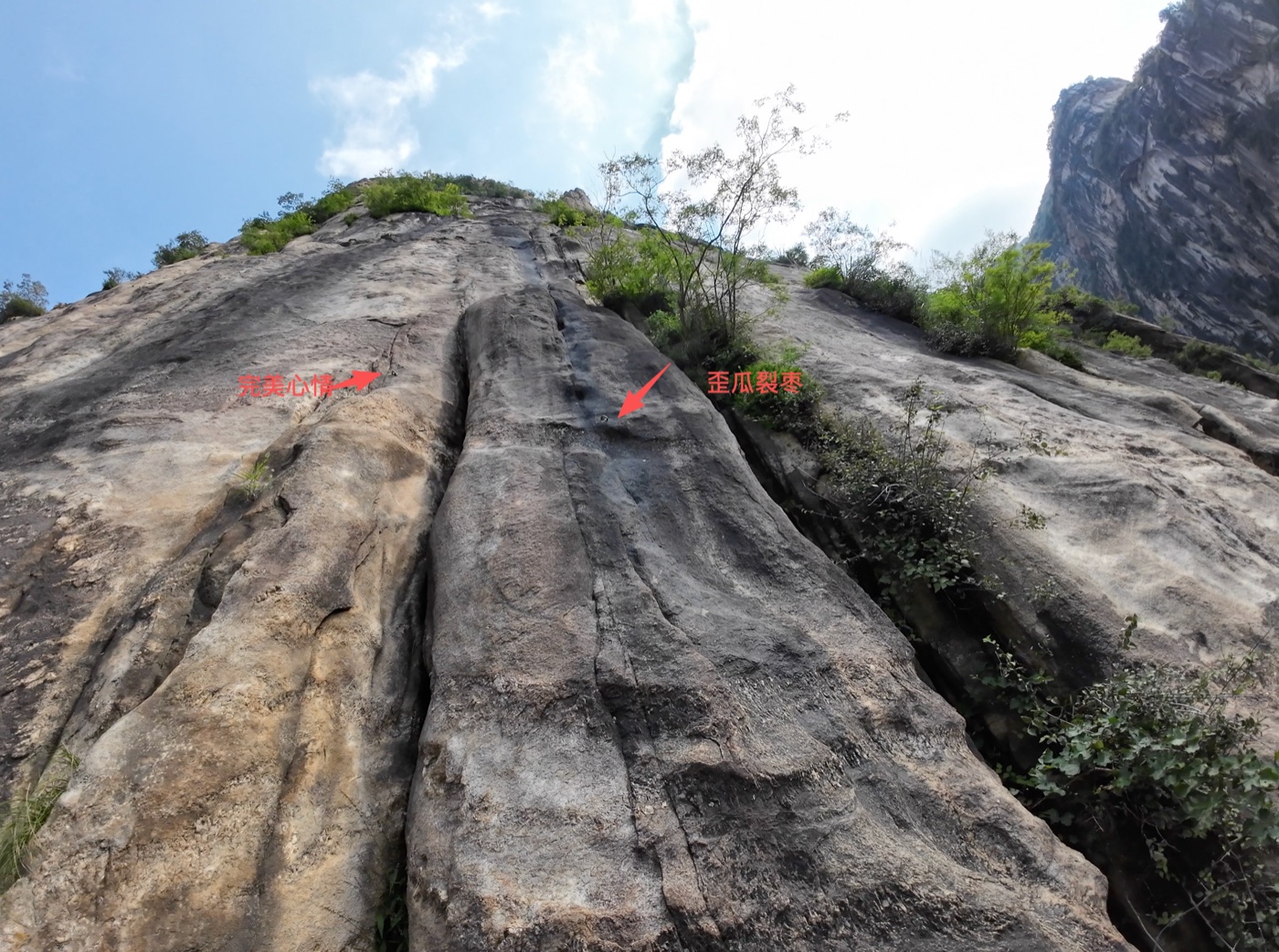 image.png /posts/waigua-liezao/image-14.jpg