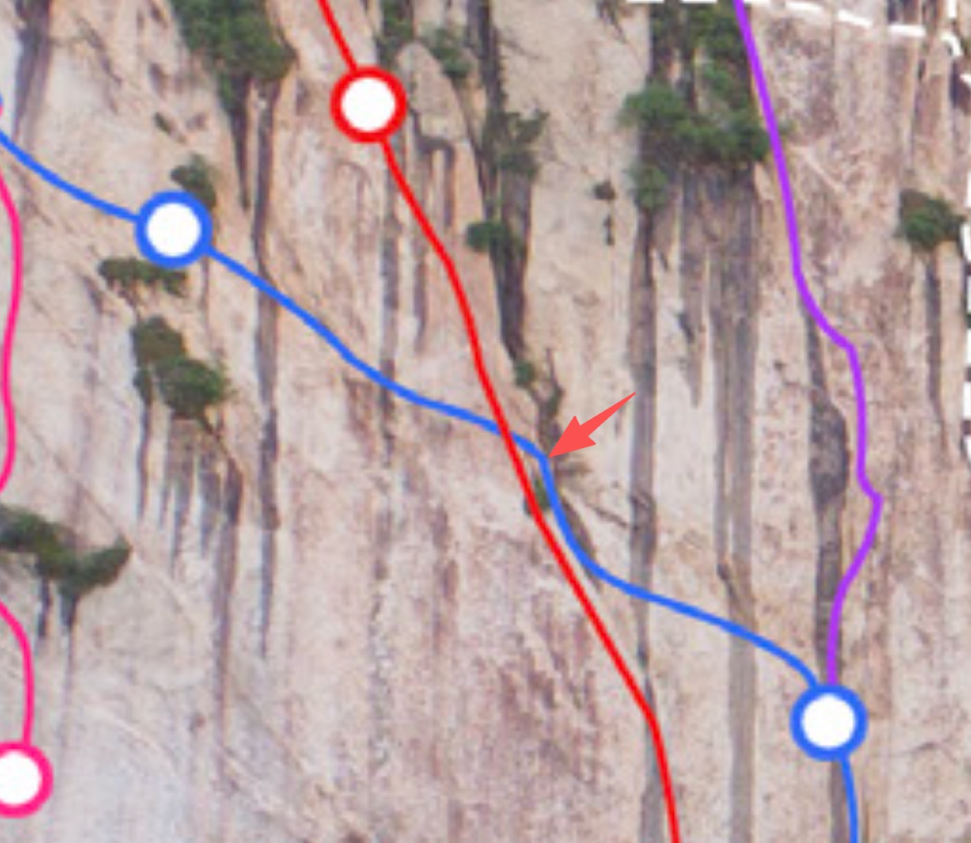 image.png /posts/waigua-liezao/image-19.jpg