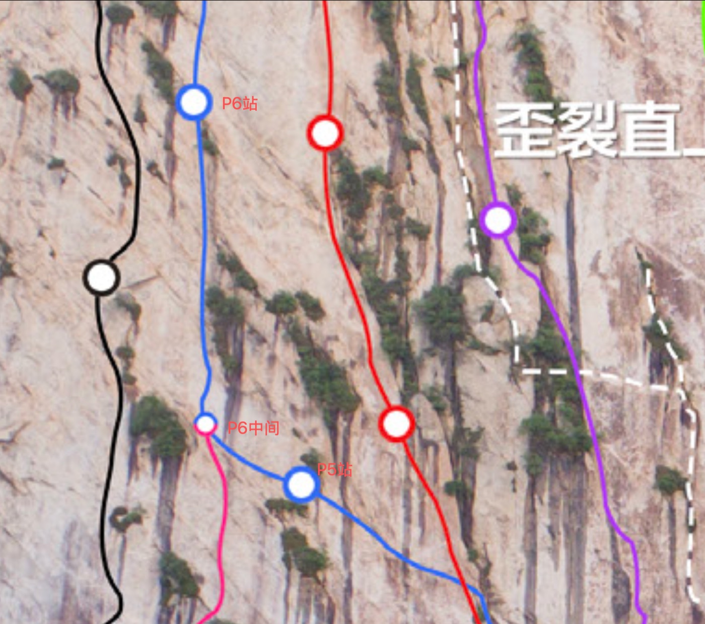 image.png /posts/waigua-liezao/image-22.jpg