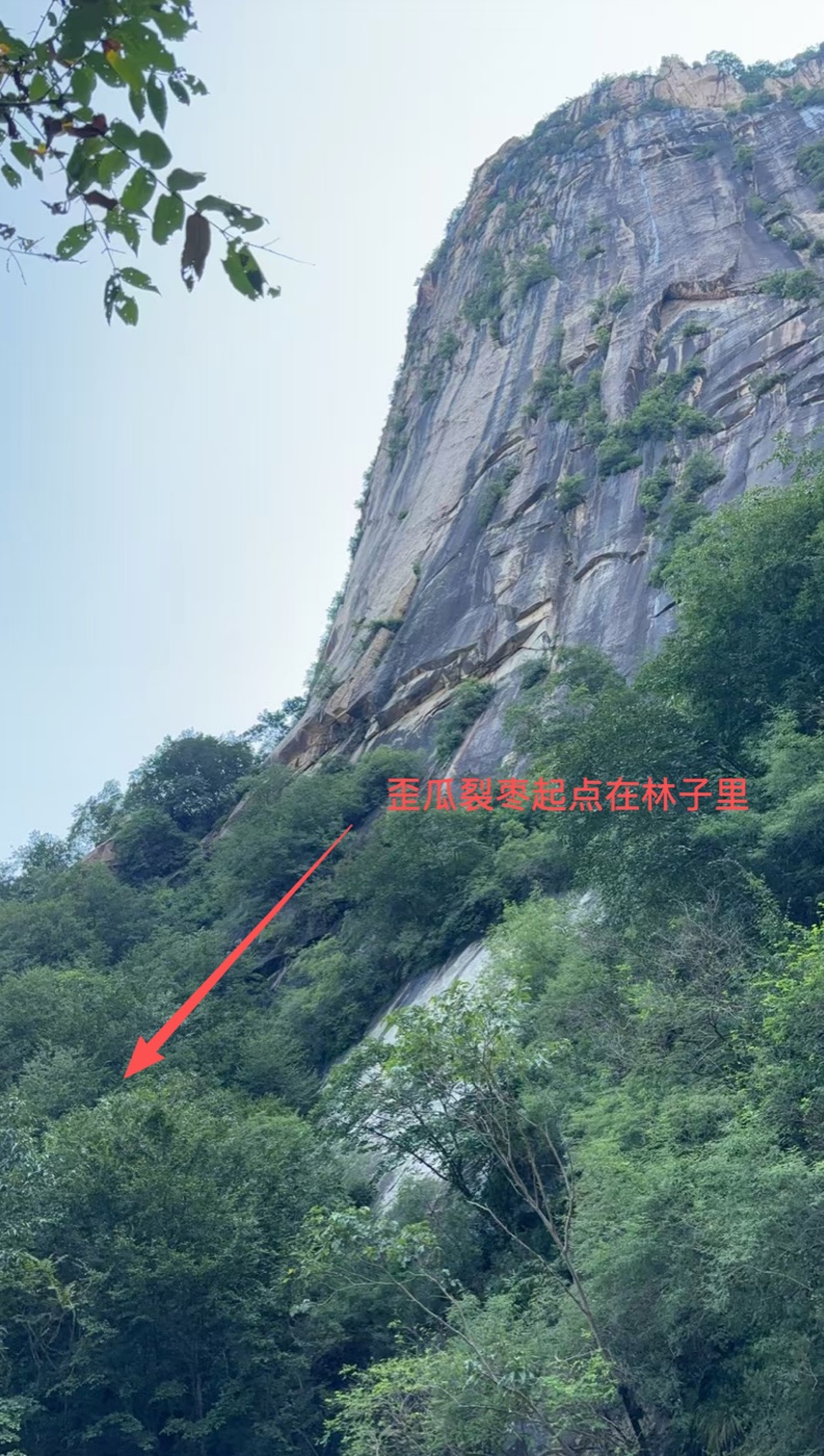 image.png /posts/waigua-liezao/image-3.jpg