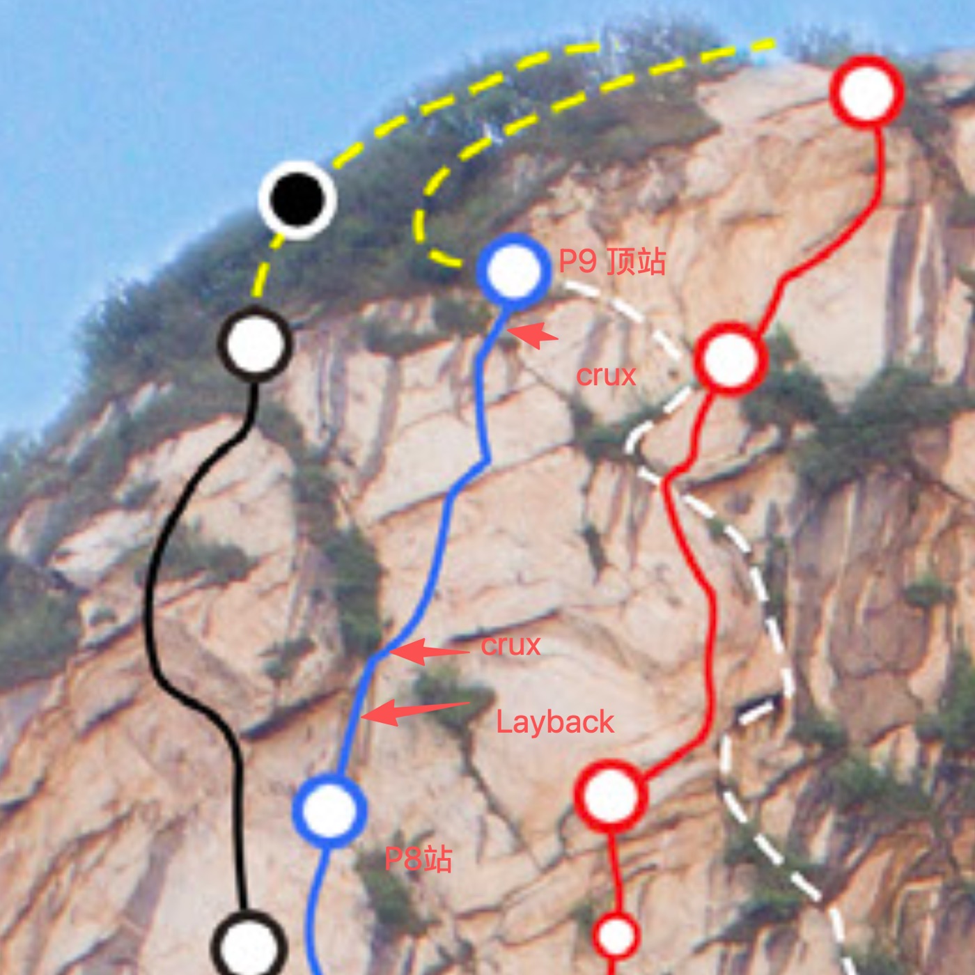 image.png /posts/waigua-liezao/image-31.jpg