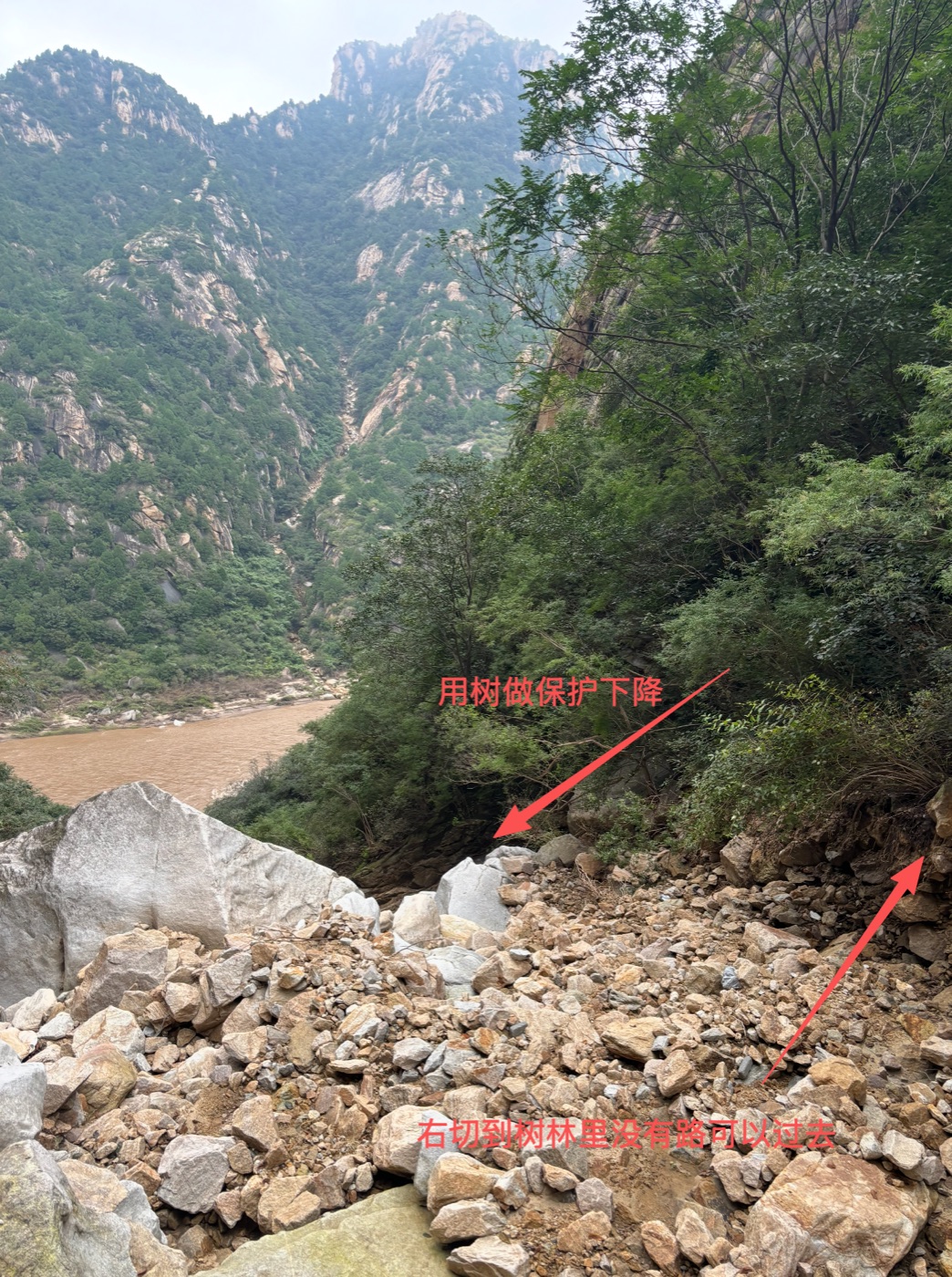 image.png /posts/waigua-liezao/image-4.jpg